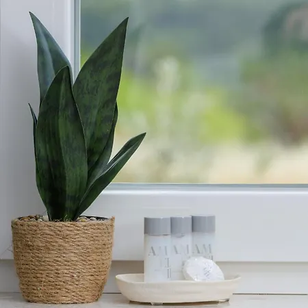 Azure Pine Private Rooftop Terrace & Jacuzzi Apartamento Trogir
